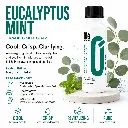 ole-aroma-eucalyptus-mint-fragrance-oil-home-family.webp
