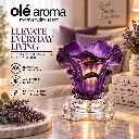 ole-aroma-lily-purple-dimmer-electric-oil-warmer-lifestyle (1).webp