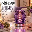 ole-aroma-nest-purple-touch-electric-oil-warmer-lifestyle.webp