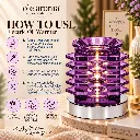 ole-aroma-nest-purple-touch-electric-oil-warmer-how-to-use.webp