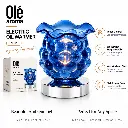 ole-aroma-hive-blue-touch-electric-oil-warmer-feature-personality.webp